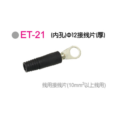 ET-21 (内孔)Φ12接線(xiàn)片(厚)