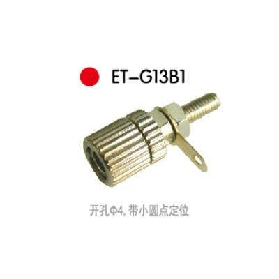 ET-G13B1