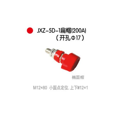 JXZ-5D-1扁帽(200A)(开孔Φ17)